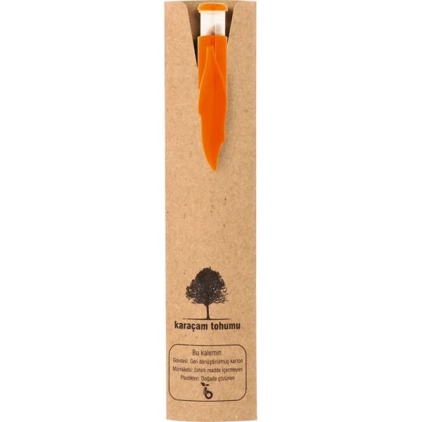 Karaçam-K Tohumlu Kalem