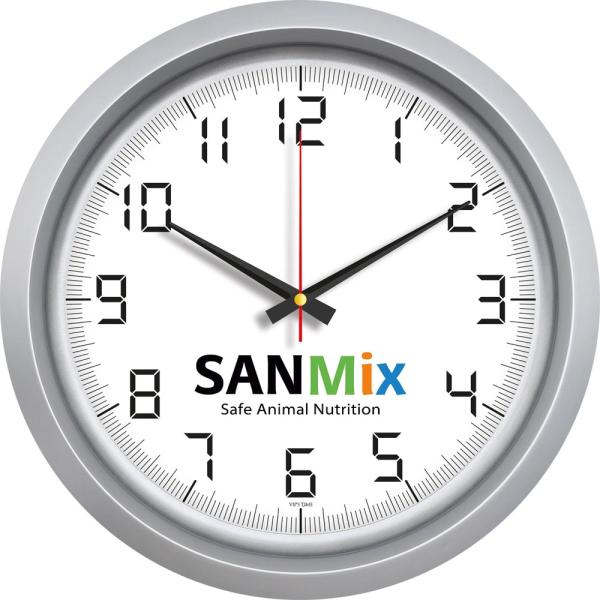 Hematit-G Plastik Duvar Saati