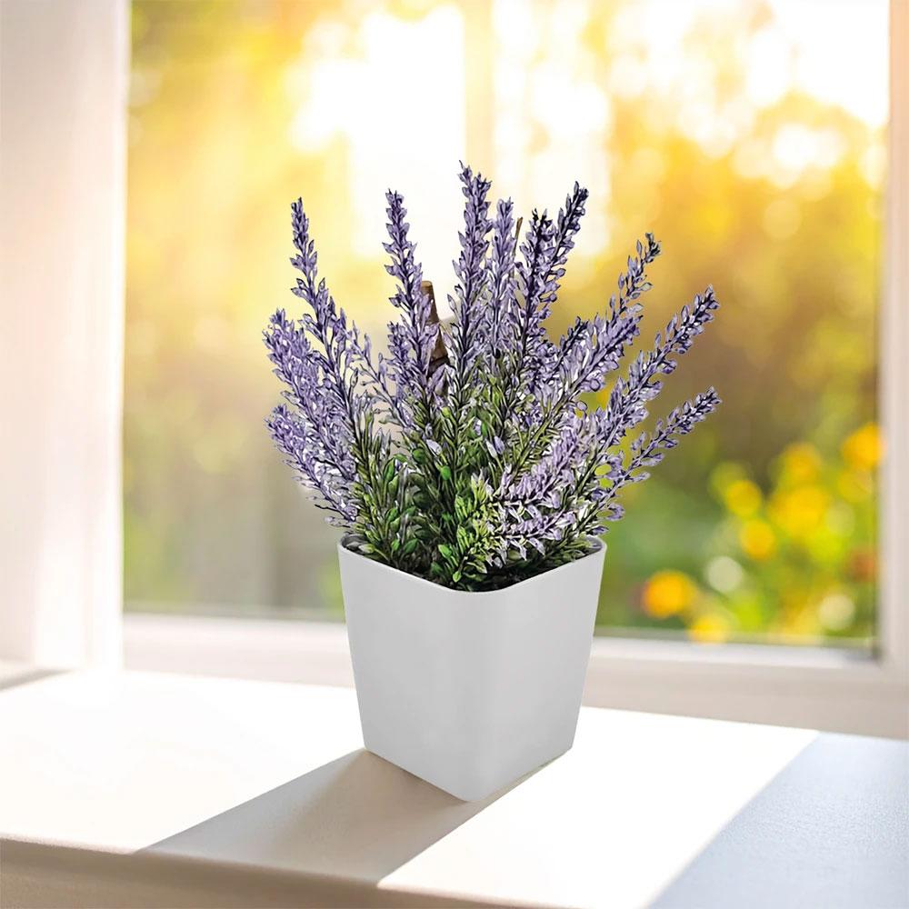 CK-2015 Bitki Yetiştirme Seti